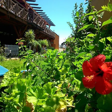 Гостевой дом Playa