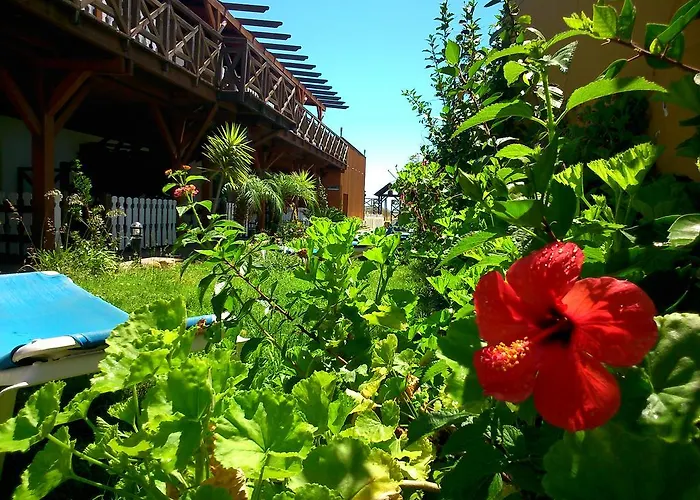 Konukevi Playa